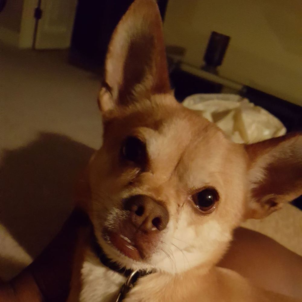 Meet your Posher, Neicy